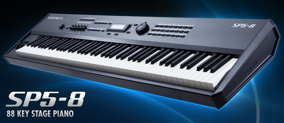 Synthesizer (Keyboard player)